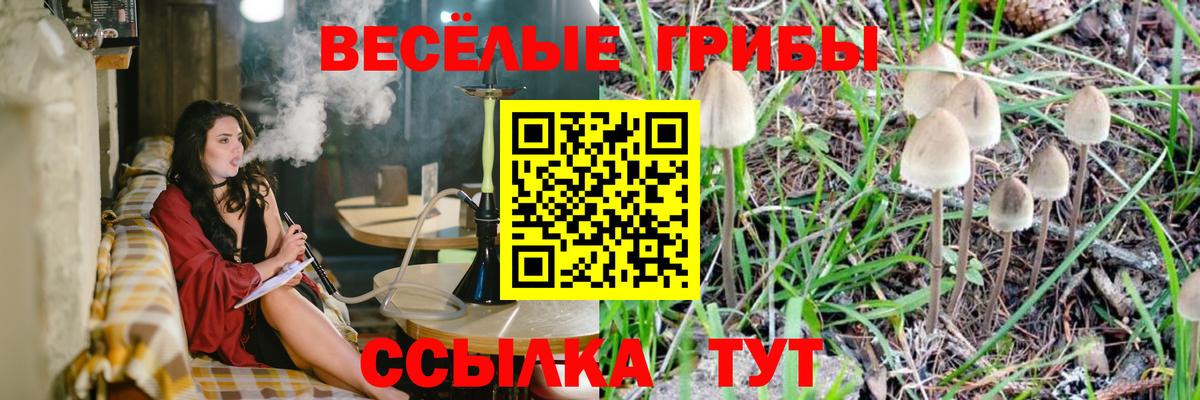 Батайск  Галлюциногенные грибы прущие грибы  Галлюциногенные грибы мухоморы  Вход с VPN 